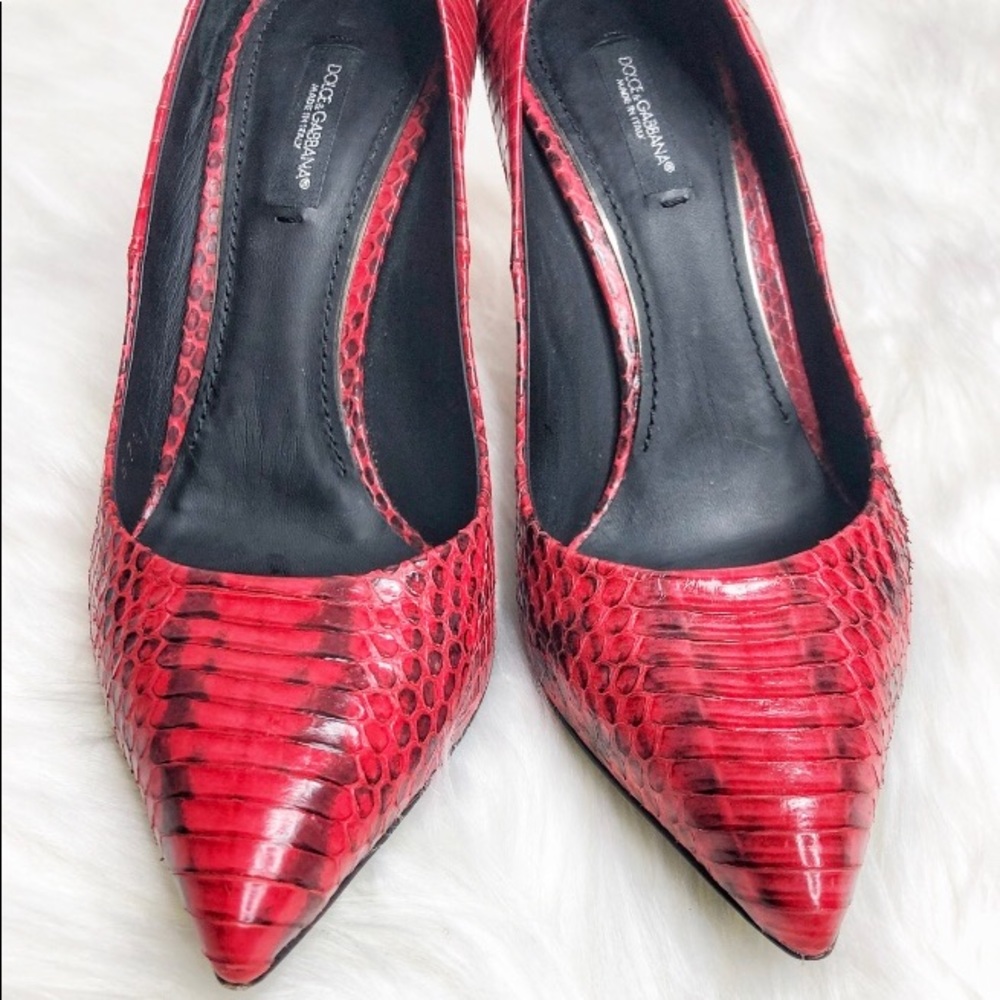 Dolce & Gabbana Pump Red Python Heels - image 7